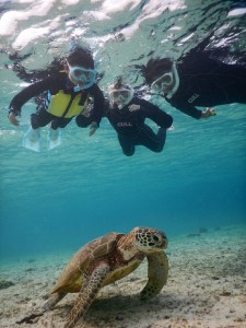 家族３人ウミガメ観察中
