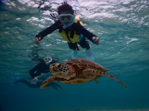 ナイスアプローチ