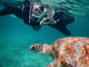 ウミガメとHeart撮影