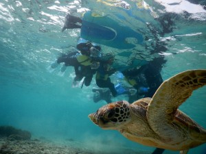 宮古島でお子様もシュノーケル