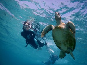 宮古島ベテランシュノーケラーも満足