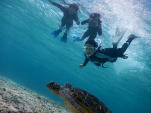 スキンダイブが上手な宮古島ファン