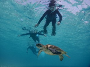 ３人宮古島シュノーケルしよう