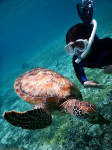 お子様も潜ります