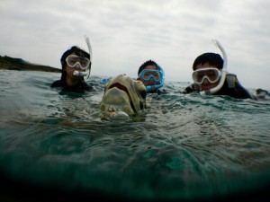ウミガメ息継ぎをお子様と