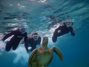 ３世代でウミガメフォト