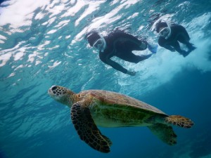 お兄さん宮古島で二人シュノーケリング