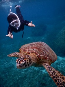 シュノーケリングで潜ります