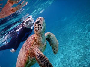 あおすぎる海にてシュノーケリング