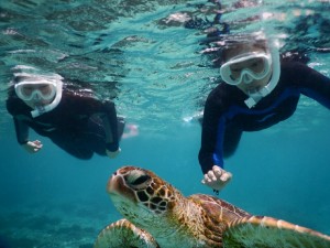 近くにシュノーケリングでいこう