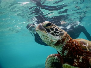 横向きシュノーケリング