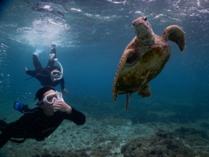シュノーケリングで耳ぬき