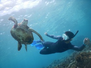 ご主人もスキンダイブ宮古島