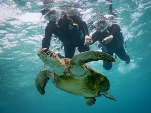 初のシュノーケリング好奇心いっぱい