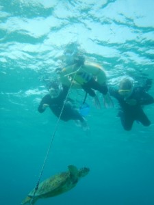 お子様浮き輪シュノーケリング