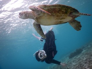 見事なスキンダイブ