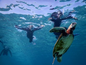空飛ぶシュノーケリング
