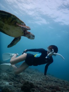 美女とウミガメとスキンダイブ