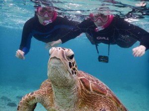 テンション高く宮古島シュノーケル