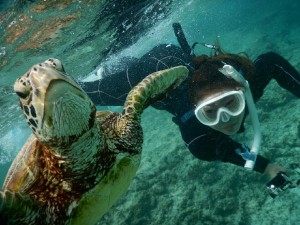 宮古島で潜ります