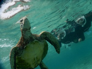 姉妹で宮古島シュノーケリング