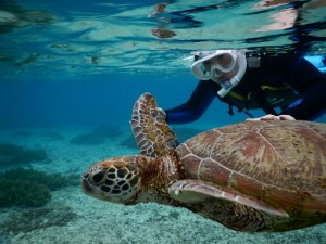 宮古島で初めてのシュノーケリングに感動