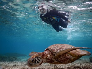 宮古島初めてのウミガメシュノーケル