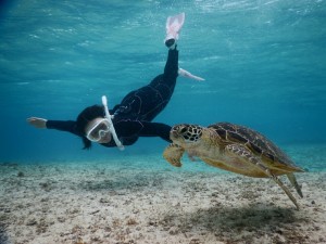 スイミングとスキンダイブ