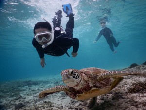 スキンダイブも出来ます