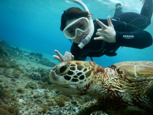 ウミガメさん宮古島でアロハ