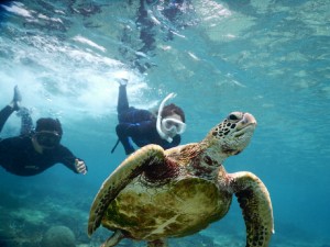 潜り潜り宮古島のビーチから