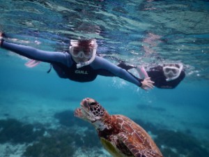宮古島空飛ぶシュノーケリング