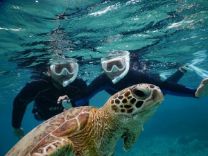 撮影いっぱいシュノーケリング