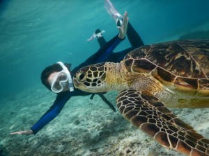 お母様もスキンダイブ