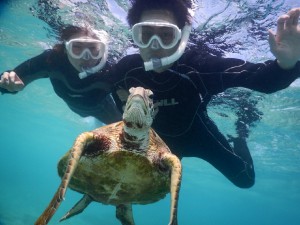 どアップシュノーケリング