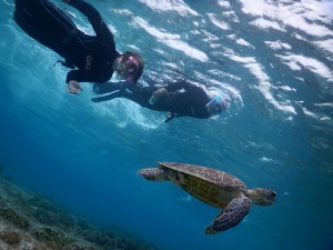 ベテランでも満足な宮古島シュノーケリング