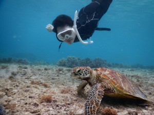 スキンダイビングだよ宮古島