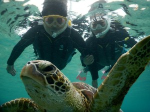 どんどん近づくシュノーケリング
