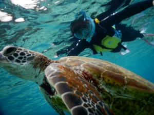 10才の宮古島シュノーケリング