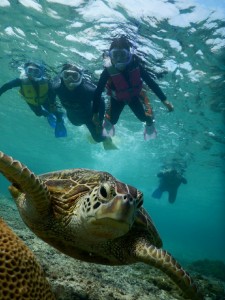 宮古島でお子様ウミガメシュノーケリング