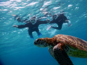 透明度がすごい宮古島の海は