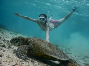 ウミガメとビキニ撮影を