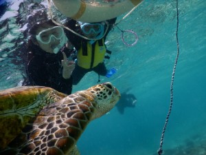 浮き輪につかまり初シュノーケル