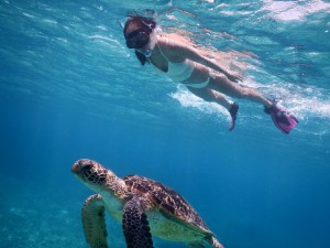 ビキニでシュノーケリング