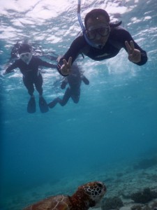 あっウミガメに