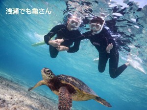 宮古島浅瀬の海でウミガメと遭遇