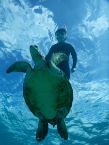 宮古島の海の透明度