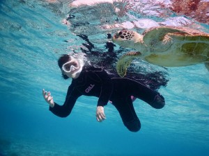 宮古島ウミガメと手がつなげそうなシュノーケル