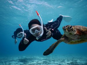 いるよねーウミガメ