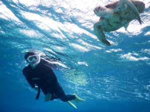 シュノーケリングでアプローチ